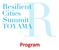 Resilient Cities Summit