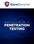Definitive Guide to PENETRATION TESTING