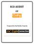 ICO AUDIT. Prepared for the McAfee Team by