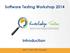 Software Testing Workshop 2014 Introduction