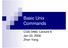 Basic Unix Commands. CGS 3460, Lecture 6 Jan 23, 2006 Zhen Yang