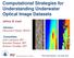 Computational Strategies for Understanding Underwater Optical Image Datasets