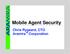 Mobile Agent Security. Chris Rygaard, CTO Aramira TM Corporation