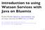 introduction to using Watson Services with Java on Bluemix