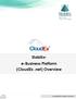 Stabilix e-business Platform (CloudEx.net) Overview