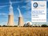 Supply Chain Services for Nuclear Power Plants: How to build and control the supply chain