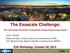 The Exascale Challenge: