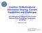 Coalition C2/Multinational Information Sharing: Current Capabilities and Challenges