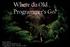 Where do Old Programmer s Go?