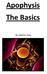 Apophysis The Basics. By Stephen Daly