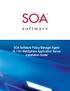 SOA Software Policy Manager Agent v6.1 for WebSphere Application Server Installation Guide