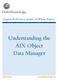 Expert Reference Series of White Papers. Understanding the AIX Object Data Manager