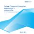 Deltek Costpoint Enterprise Reporting 6.2