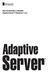New Functionality in Sybase Adaptive Server Enterprise