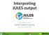 Interpreting JULES output
