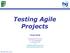Testing Agile Projects Stuart Reid