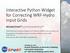 Interactive Python Widget for Correcting WRF-Hydro Input Grids