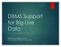 DBMS Support for Big Live Data