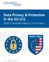 Data Privacy & Protection in the EU-U.S.