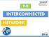 THE INTERCONNECTED NETWORK