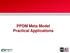 PPDM Meta Model Practical Applications