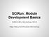 SCIRun: Module Development Basics