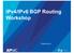 IPv4/IPv6 BGP Routing Workshop. Organized by: