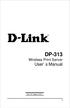DP-313. Wireless Print Server User s Manual. Rev. 02 (August, 2001)