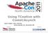 Using TCnative with Comet/Asynch. Jean-Frederic Clere, Red Hat November 9th