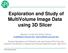 Exploration and Study of MultiVolume Image Data using 3D Slicer