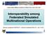 Interoperability among Federated Simulated Multinational Operations