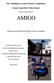 9th Intelligent Ground Vehicle Competition. Design Competition Written Report. Design Change Report AMIGO
