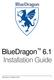 BlueDragon TM 6.1 Installation Guide