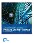 A NEW USER S GUIDE. PRIVATE LTE NETWORKS By Ira Keltz and Eric DeSilva