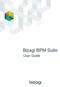 Bizagi BPM Suite. User Guide