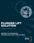 PLUNGER LIFT SOLUTION