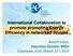 International Collaboration to promote promoting Energy Efficiency in networked devices