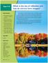 Fall in Ontario is a feast of colour. The sky is a vivid blue, and the
