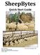 SheepBytes Quick Start Guide