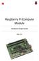 Raspberry Pi Compute Module