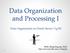 Data Organization and Processing I