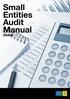 Small Entities Audit Manual (SEAM)