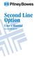 Second Line Option. User's Manual. For use with DL170