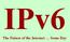 IPv6. The Future of the Internet Some Day