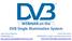 WEBINAR on the DVB Single Illumination System