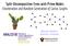 Split-Decomposition Trees with Prime Nodes: Enumeration and Random Generation of Cactus Graphs. Maryam Bahrani Jérémie Lumbroso