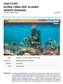 CASE STUDY: GLOBAL CORAL REEF ALLIANCE WEBSITE REDESIGN Case Study by Kathleen Corgan