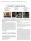 Effective Ray Tracing of Large 3D Scenes through Mobile Distributed Computing