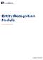 Entity Recognition Module. 1.0 Documentation