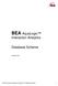 BEA AquaLogic Interaction Analytics